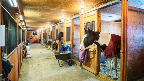 What's The Best Horse Barn Flooring: Stalls, Aisles, Tack Room