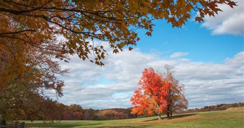 10 Best Places To See Fall Foliage In Virginia ( & Where To Stay)