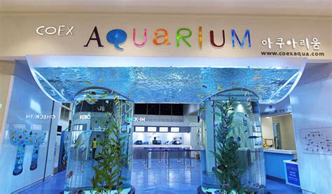 Coex Aquarium Seoul 2022 | Book TicketsToDo Online