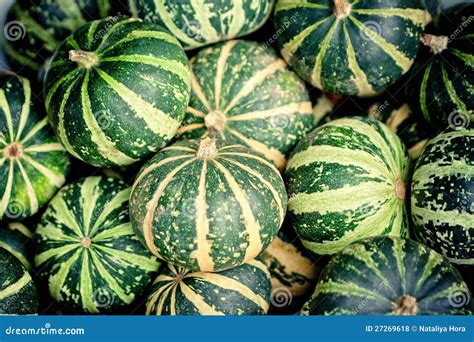 Green Pumpkins Royalty Free Stock Photos - Image: 27269618