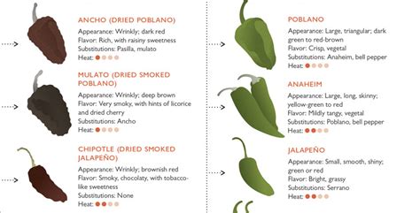 All You Need To Know About Dried Chiles