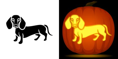 Dachshund Pumpkin Stencil in 2024 | Pumpkin carving, Pumpkin stencil ...