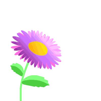 Animated Flowers And Butterflies - ClipArt Best
