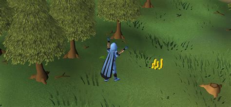 Best Places To Hunt Grey Chinchompas in OSRS – FandomSpot