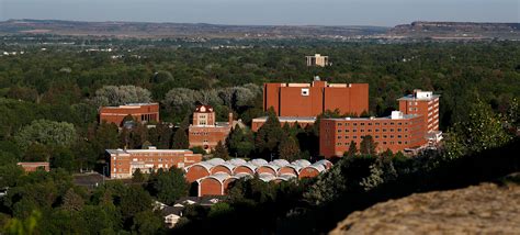 Montana State University Billings