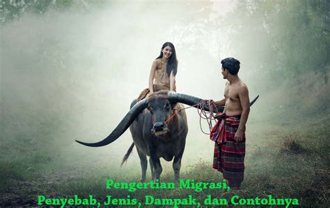 √ Pengertian Migrasi, Faktor Penyebab, Jenis, Dampak, dan Contohnya ...