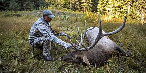 Top 5 Elk Hunting Tips | Elk101.com | Eat. Sleep. HUNT ELK!