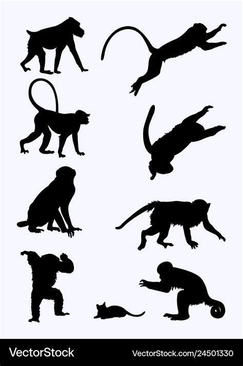 Monkeys silhouette Royalty Free Vector Image - VectorStock