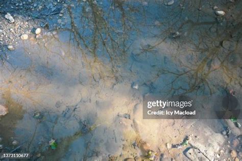 1,341 Muddy Water Texture Stock Photos, High-Res Pictures, and Images ...