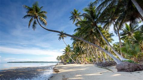 Secluded Beaches - Manta Ray Bay Resort - Yap, Micronesia