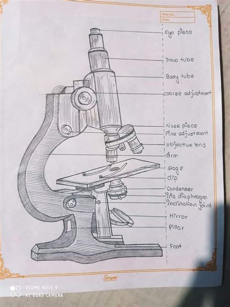 Labelled Diagram Of A Compound Microscope