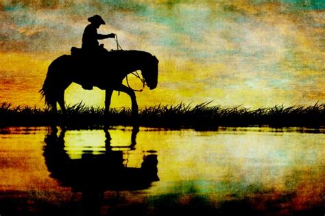 Horse Silhouette Sunset Free Stock Photo - Public Domain Pictures