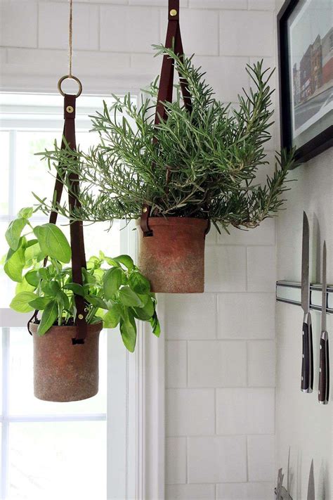 23+ Inspiring and Natural DIY Hanging Plants for Your Home. Inspiring ...