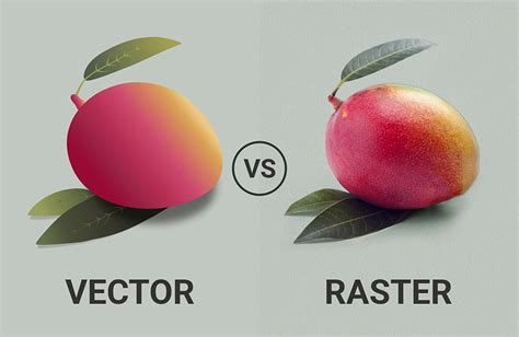 Vector vs Raster Graphics: What’s the Difference?