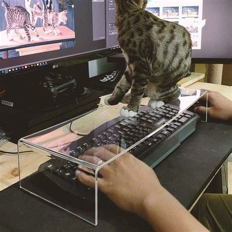 FARK.com: (10613150) Why are cats so obsessed with your keyboard, anyway?