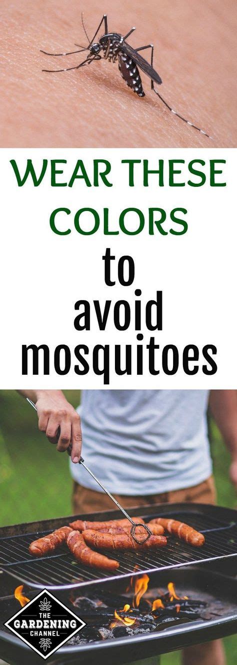 Colors That Attract Mosquitoes (With images) | Mosquito, Garden maintenance