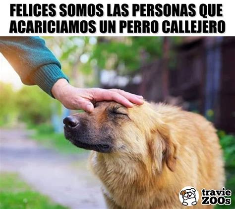 Pin en Fotos de Animales Facebook