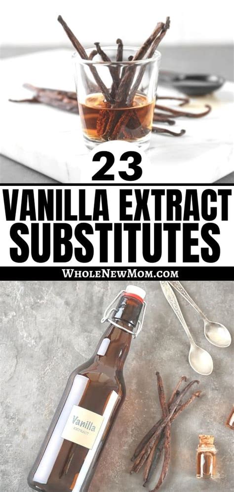 23 Vanilla Extract Substitutes & How to Use Them!