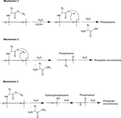 Acid Hydrolysis Mechanism