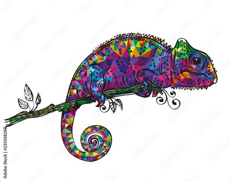 drawing of a colorful chameleon Stock Vector | Adobe Stock