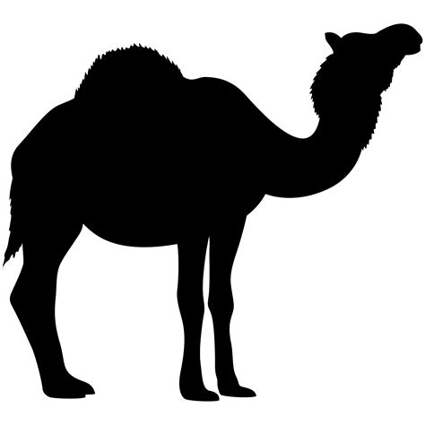 Camel Silhouette PNG Images (Transparent HD Photo Clipart)