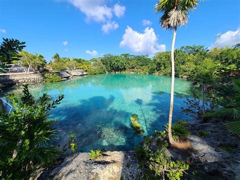 Chankanaab Park in Cozumel | Dolphin Discovery | Blogs Dolphin Discovery | Blogs