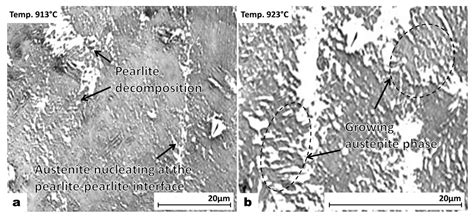 Coarse Pearlite Microstructure