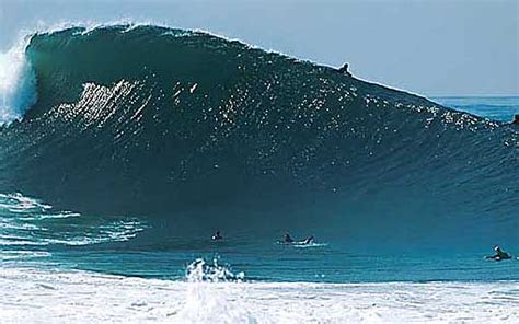 The Wedge Got Huge This Weekend - Surfing ~ Alternative Exercises