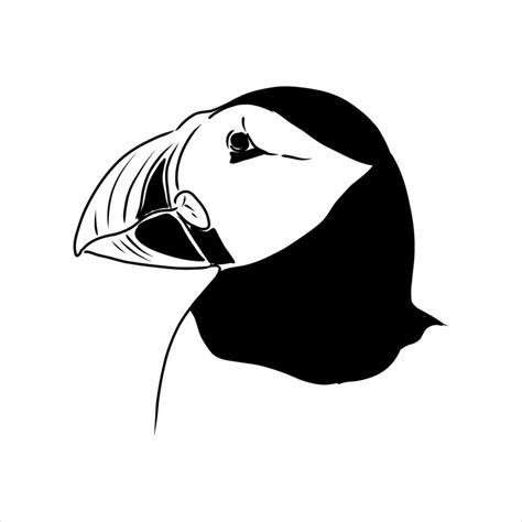 the puffin bird is flying vector sketch 7652828 Vector Art at Vecteezy