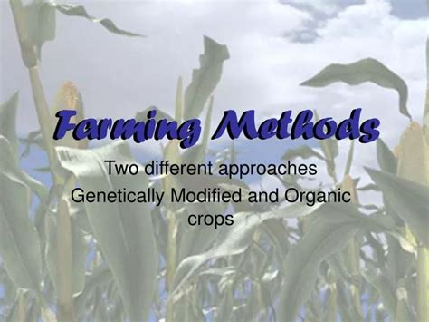 PPT - Farming Methods PowerPoint Presentation, free download - ID:6676419