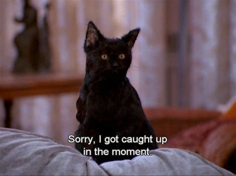 The 40 Greatest Things Ever Said By Salem The Cat | Salem saberhagen ...