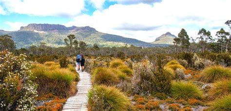 Hiking Tasmania - 9 Greatest day and multi-day hikes