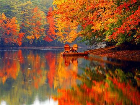 Adirondack Chairs | Maine in the fall, Fall foliage, Fall pictures