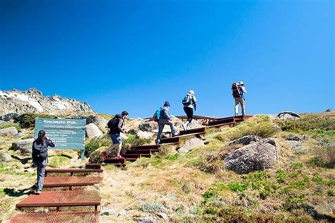 Snowy Mountains Walking Guide - Australia's Epic Walks | Experience Oz