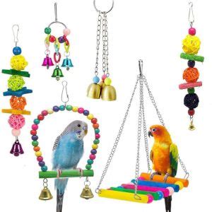 Bird Cage Accessories – The Royal Pets Store