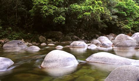 Mossman Gorge Free Photo Download | FreeImages