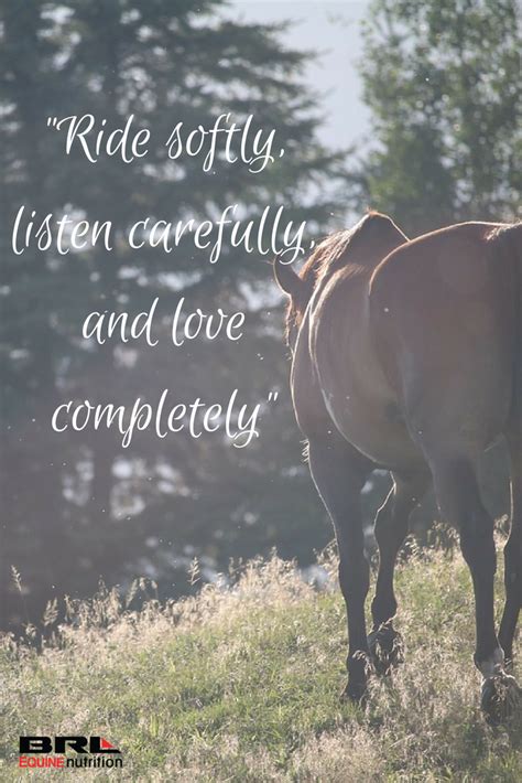 Pin on inspirational horse quotes and horse ideas