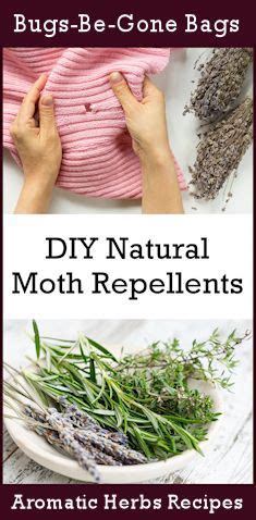 Latest | Moth repellent, Repellents, Diy natural products