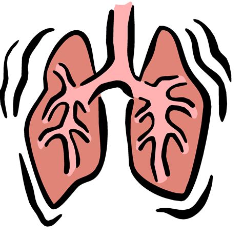 Lungs clipart animated, Lungs animated Transparent FREE for download on ...