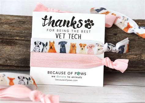 Vet Tech Thank You Gift| Hair Tie Greeting Card Vet Office Gifts Under ...