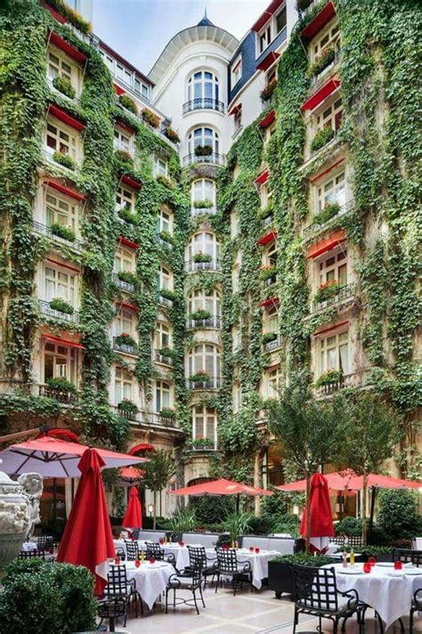 Plaza Athénée, Paris | Plaza athenee paris, Beautiful places, Paris