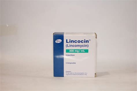 Lincocin Inj 300 MG 5 Ampx1 ml - Time Medical