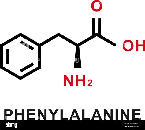 Phenylalanine chemical formula. Phenylalanine chemical molecular structure. Vector illustration ...