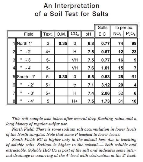 A Guide to Reading Soil Test Results | EcoFarming Daily