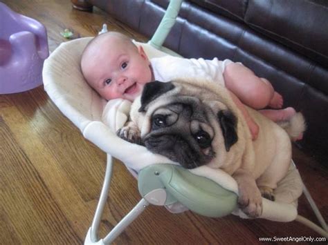 Funny Pictures-Baby on Dog ~ Sweet Angel