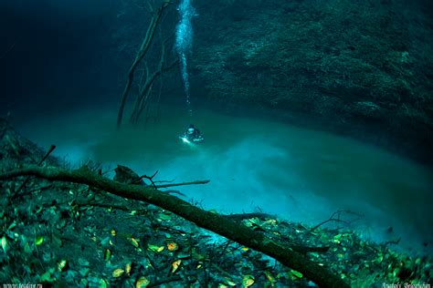 Underwater River, Cenote Angelita, Mexico - The water separates into two visible layers because ...