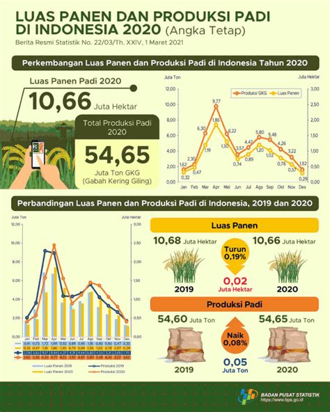 Perkembangan Luas Panen Dan Produksi Padi Di Indonesia Tahun 2020 - Riset