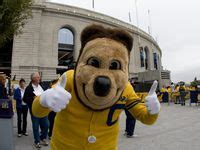 27 The Oski Tradition ideas | college athletics, high five, mascot