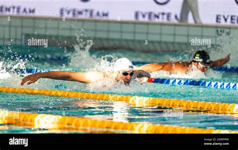 Chad LE CLOS (RSA), men 200m butterfly stroke final, during the Giant Open 2024, Swimming event ...