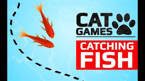 CAT GAMES - CATCHING FISH (ENTERTAINMENT VIDEOS FOR CATS TO WATCH ...